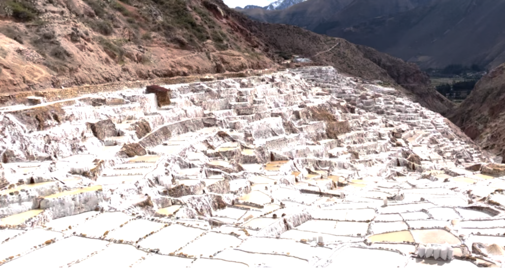 Maras